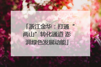 浙江金华：打通“两山”转化通道 澎湃绿色发展动能