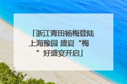 浙江青田杨梅登陆上海豫园 盛夏“梅”好盛宴开启