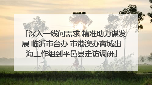 深入一线问需求 精准助力谋发展 临沂市台办 市港澳办商城出海工作组到平邑县走访调研