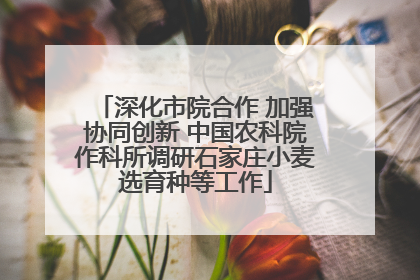深化市院合作 加强协同创新 中国农科院作科所调研石家庄小麦选育种等工作