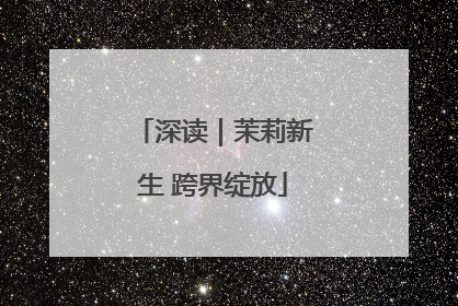 深读｜茉莉新生 跨界绽放