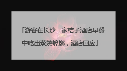游客在长沙一家桔子酒店早餐中吃出蒸熟蟑螂，酒店回应