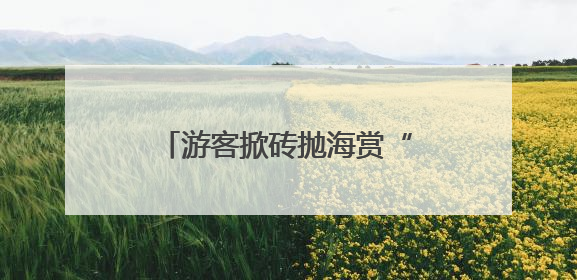 游客掀砖抛海赏“蓝眼泪” 损坏石砖已被陆续修复