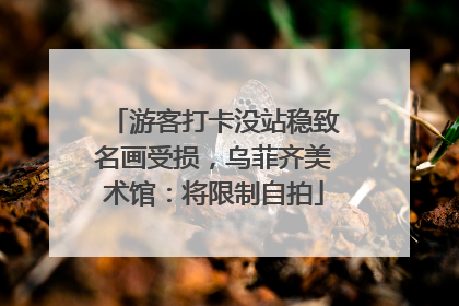 游客打卡没站稳致名画受损，乌菲齐美术馆：将限制自拍