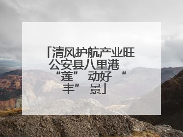 清风护航产业旺 公安县八里港 “莲” 动好 “丰” 景
