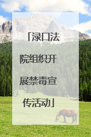 渌口法院组织开展禁毒宣传活动