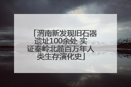 渭南新发现旧石器遗址100余处 实证秦岭北麓百万年人类生存演化史