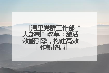 湾里党群工作部“大部制”改革：激活效能引擎，构建高效工作新格局