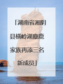湖南省湘阴县横岭湖麋鹿家族再添三名新成员