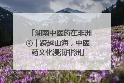 湖南中医药在非洲③｜跨越山海，中医药文化浸润非洲