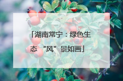 湖南常宁：绿色生态 “风”景如画