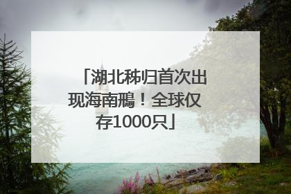 湖北秭归首次出现海南鳽！全球仅存1000只