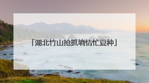湖北竹山抢抓墒情忙夏种