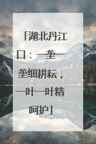 湖北丹江口：一垄一垄细耕耘，一叶一叶精呵护