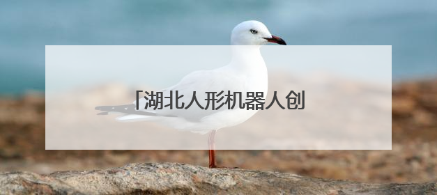 湖北人形机器人创新中心正式揭牌