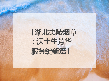 湖北夷陵烟草：沃土生芳华 服务绽新篇