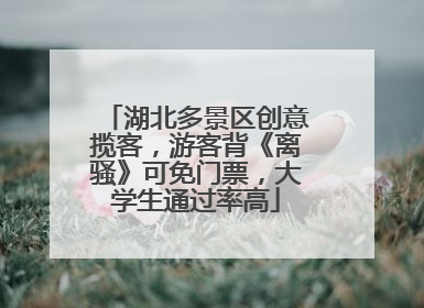 湖北多景区创意揽客，游客背《离骚》可免门票，大学生通过率高