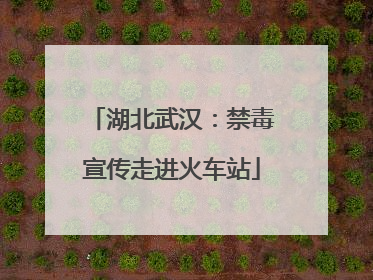 湖北武汉：禁毒宣传走进火车站