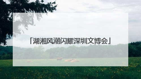 湖湘风潮闪耀深圳文博会