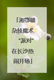 湘鄂赣杂技魔术“派对”在长沙热闹开场