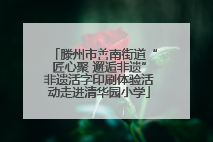 滕州市善南街道“匠心聚 邂逅非遗”非遗活字印刷体验活动走进清华园小学