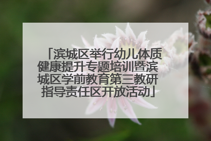 滨城区举行幼儿体质健康提升专题培训暨滨城区学前教育第三教研指导责任区开放活动