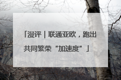 漫评｜联通亚欧，跑出共同繁荣“加速度”