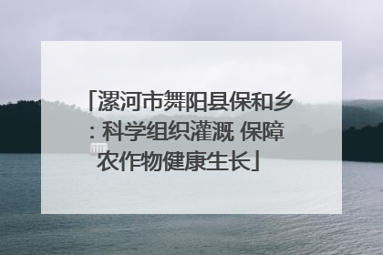 漯河市舞阳县保和乡：科学组织灌溉 保障农作物健康生长
