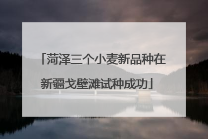 菏泽三个小麦新品种在新疆戈壁滩试种成功
