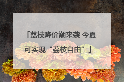 荔枝降价潮来袭 今夏可实现“荔枝自由”