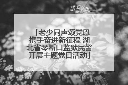 老少同声颂党恩 携手奋进新征程 湖北省琴断口监狱民警开展主题党日活动