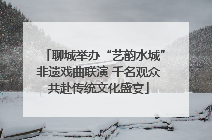 聊城举办“艺韵水城”非遗戏曲联演 千名观众共赴传统文化盛宴