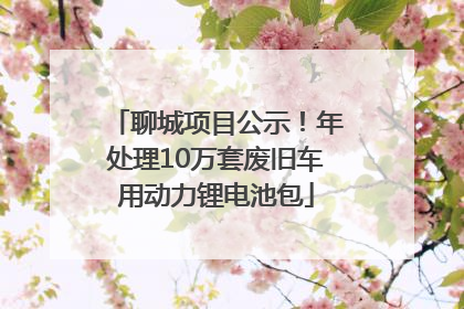 聊城项目公示！年处理10万套废旧车用动力锂电池包