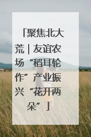 聚焦北大荒｜友谊农场“稻耳轮作”产业振兴“花开两朵”