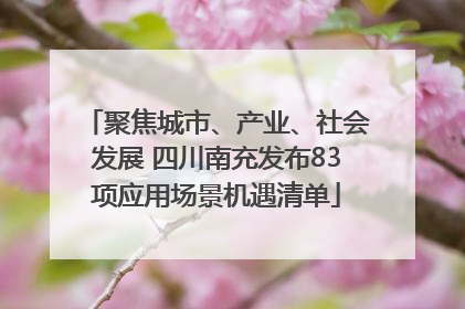 聚焦城市、产业、社会发展 四川南充发布83项应用场景机遇清单