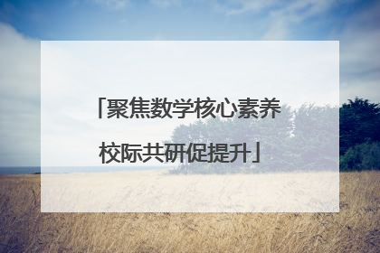 聚焦数学核心素养 校际共研促提升