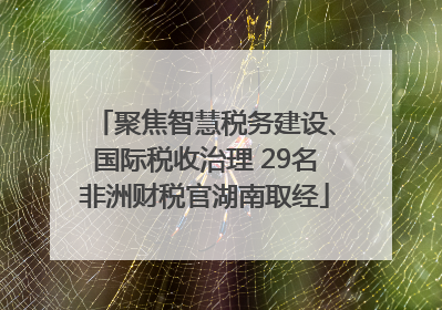 聚焦智慧税务建设、国际税收治理 29名非洲财税官湖南取经