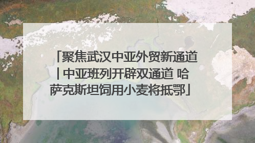 聚焦武汉中亚外贸新通道│中亚班列开辟双通道 哈萨克斯坦饲用小麦将抵鄂
