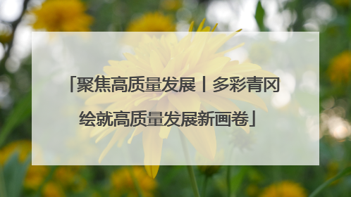聚焦高质量发展丨多彩青冈 绘就高质量发展新画卷
