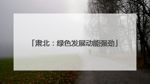 肃北：绿色发展动能强劲