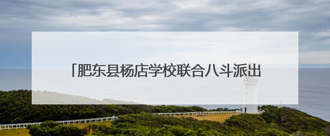 肥东县杨店学校联合八斗派出所举办安全教育志愿服务活动