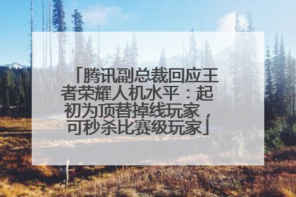 腾讯副总裁回应王者荣耀人机水平：起初为顶替掉线玩家，可秒杀比赛级玩家