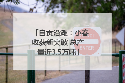 自贡沿滩：小春收获新突破 总产量近3.5万吨