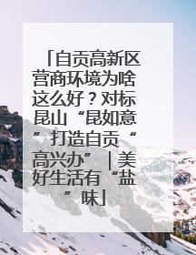 自贡高新区营商环境为啥这么好？对标昆山“昆如意”打造自贡“高兴办”｜美好生活有“盐”味