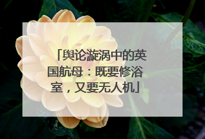舆论漩涡中的英国航母：既要修浴室，又要无人机