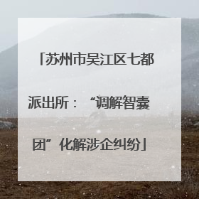 苏州市吴江区七都派出所：“调解智囊团”化解涉企纠纷