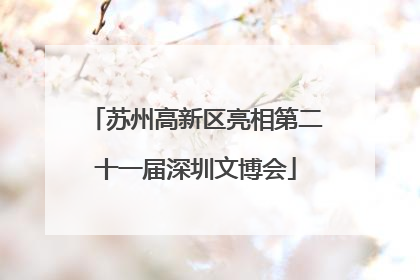 苏州高新区亮相第二十一届深圳文博会