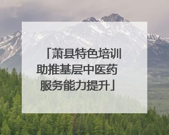 萧县特色培训助推基层中医药服务能力提升
