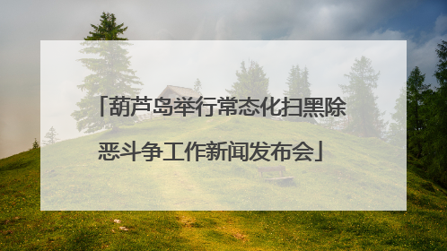 葫芦岛举行常态化扫黑除恶斗争工作新闻发布会