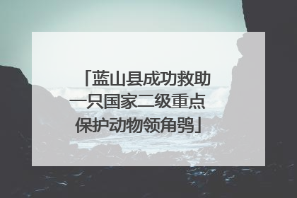 蓝山县成功救助一只国家二级重点保护动物领角鸮